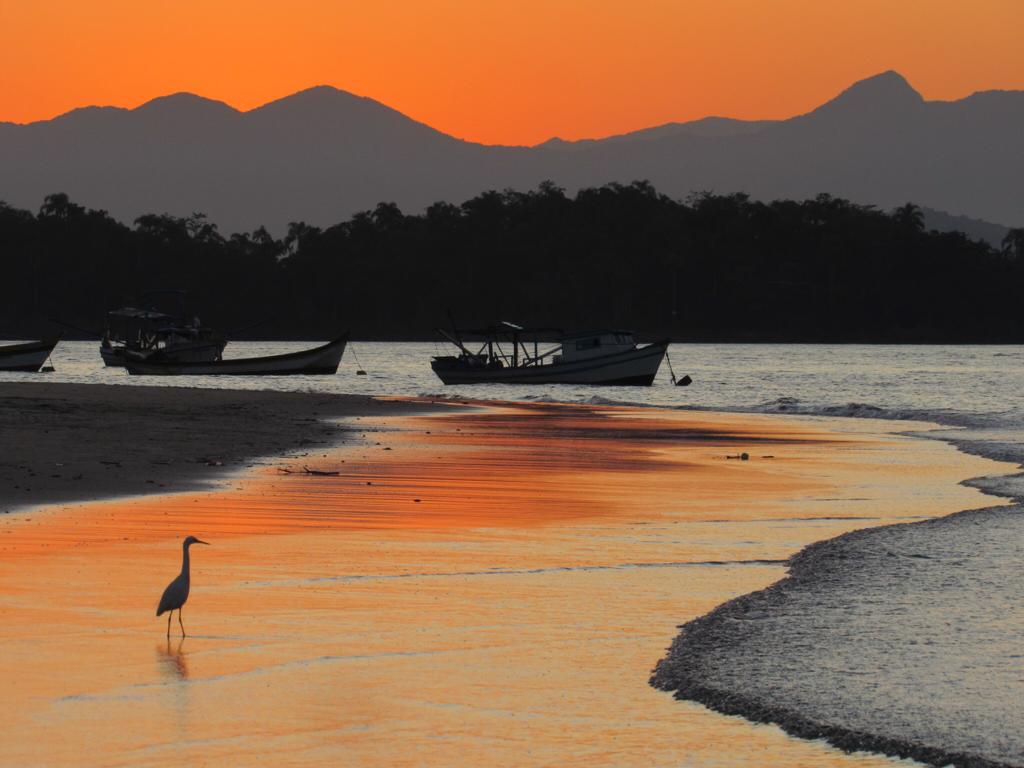 WhatsApp Image 2023-08-30 at 15.54.34.jpeg