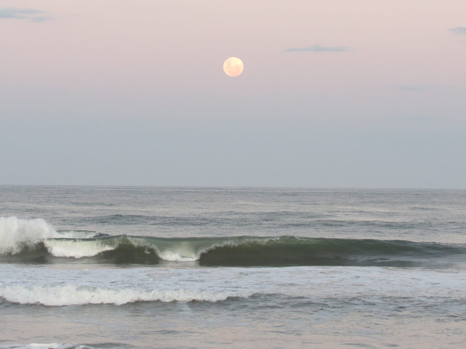 WhatsApp Image 2023-09-04 at 16.16.49.jpeg