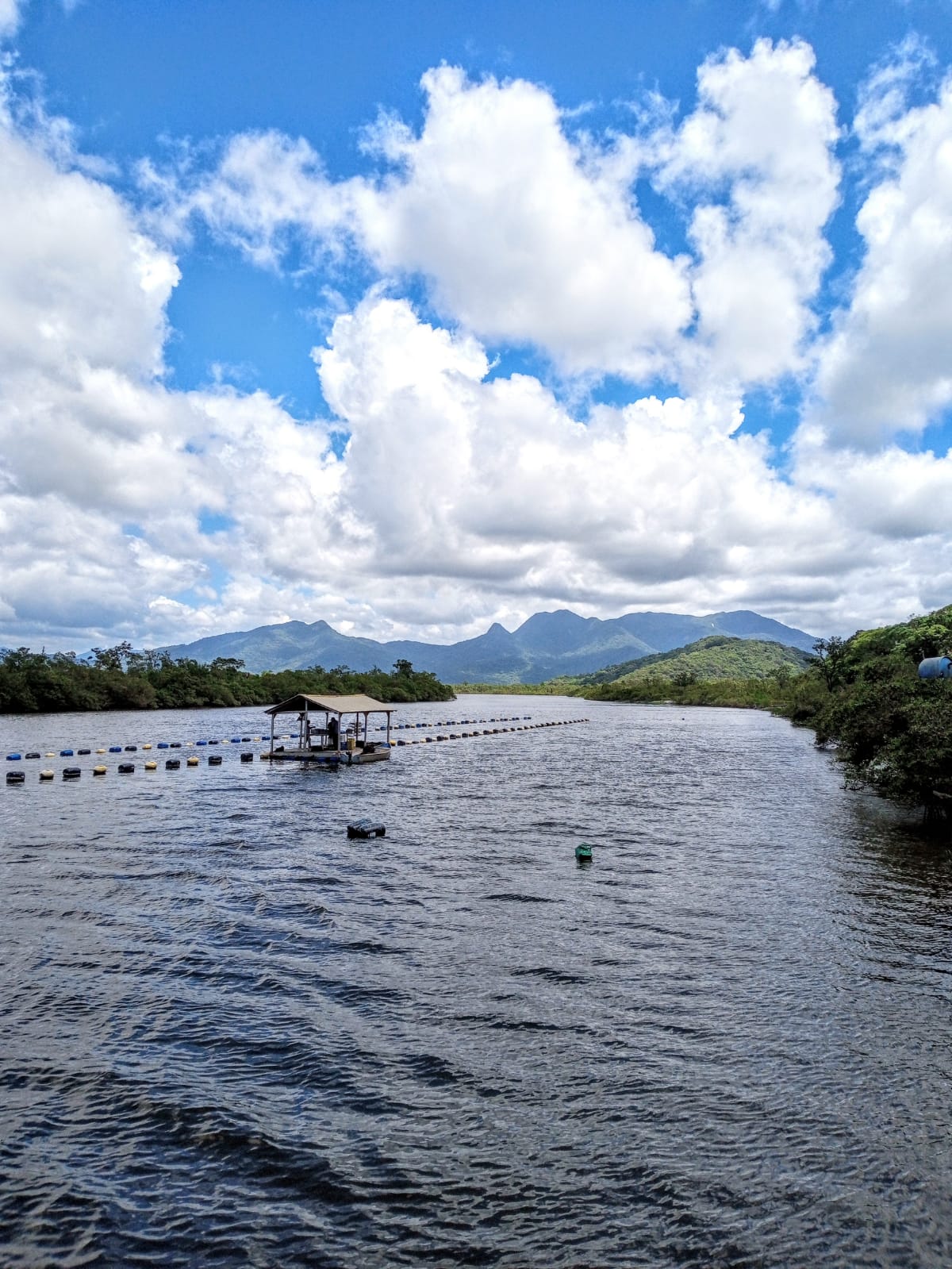 WhatsApp Image 2023-09-04 at 16.18.28.jpeg