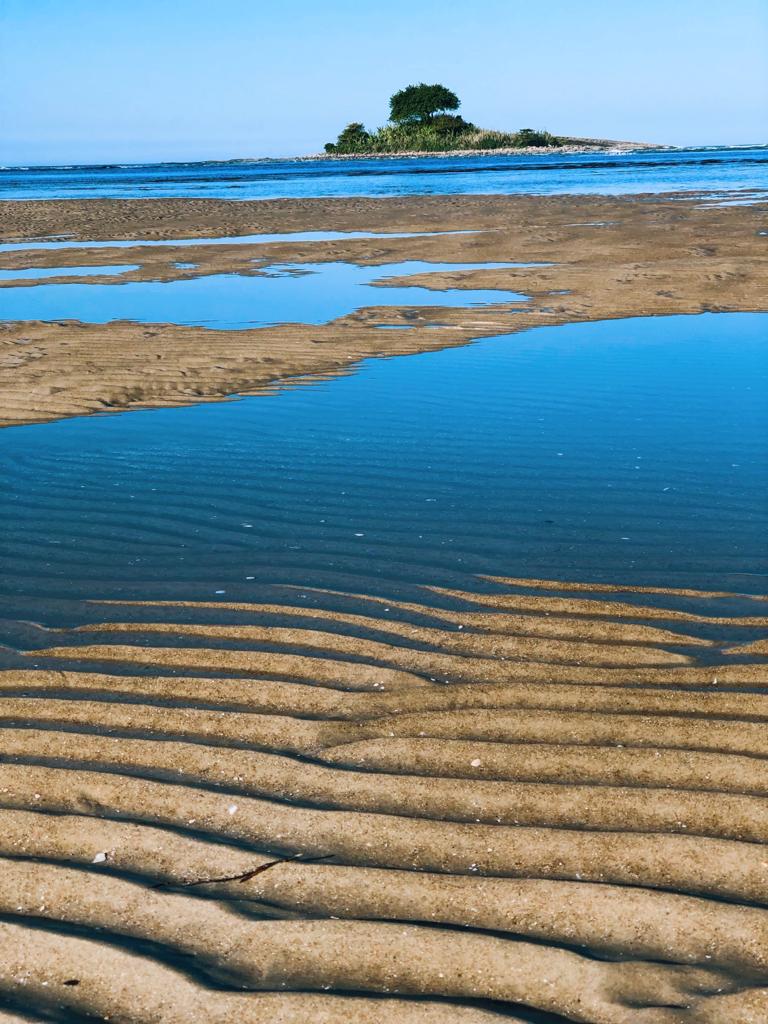 WhatsApp Image 2023-08-30 at 15.55.52.jpeg